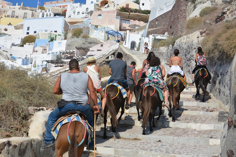 Why We Are Against Riding Donkeys in Santorini